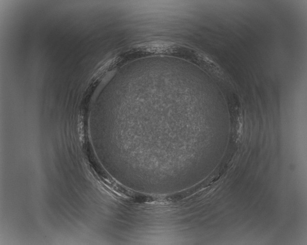 X0000052600696200507011157