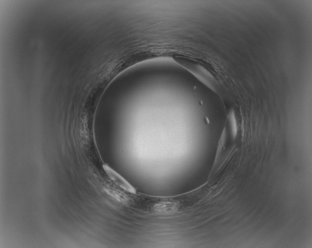 X0000052600700200507011157