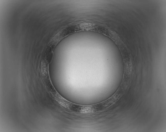 X0000052600705200507011157
