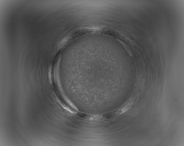 X0000052600720200507011156