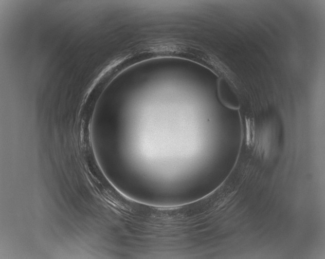 X0000052600723200507011156
