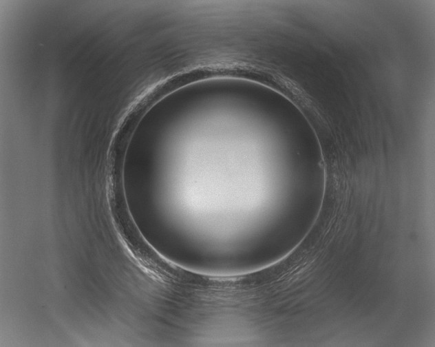 X0000052600728200507011156