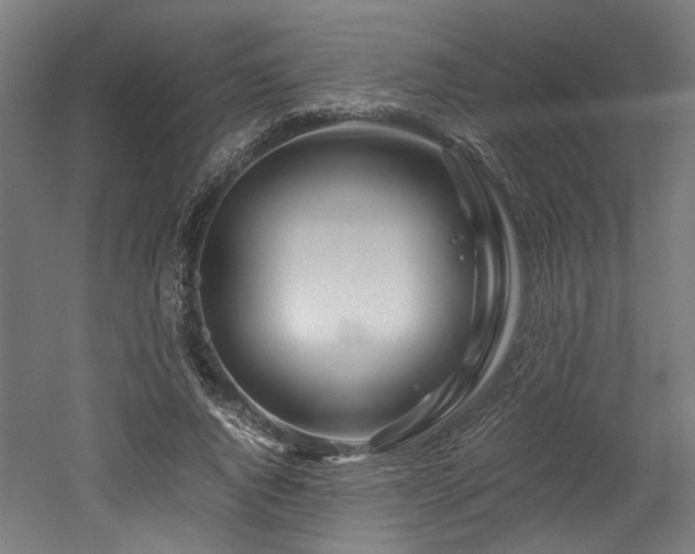 X0000052600736200507011156