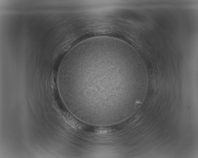 X0000052600746200507011156