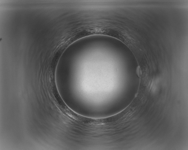 X0000052600747200507011156