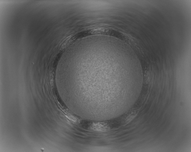 X0000052600753200507011156