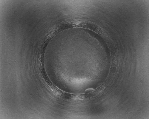 X0000052600754200507011156
