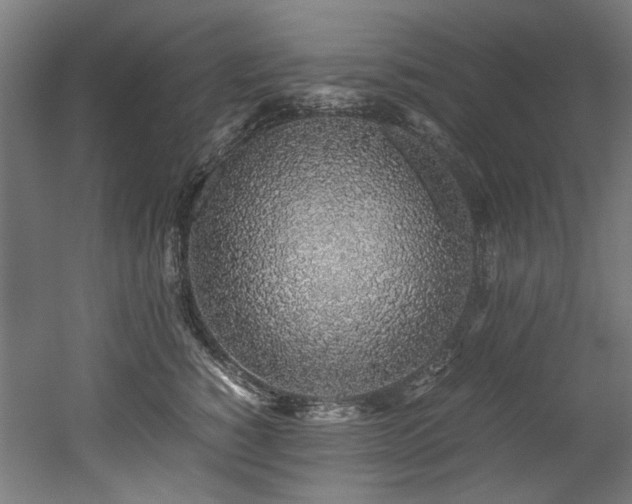 X0000052600760200507011156