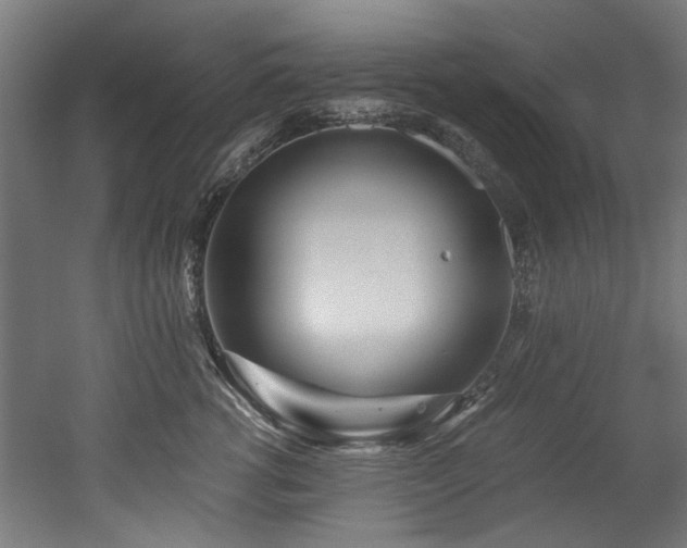 X0000052600762200507011156