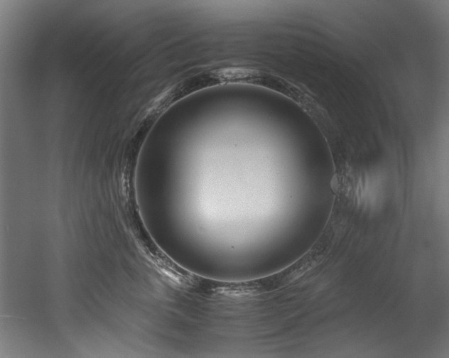 X0000052600763200507011156