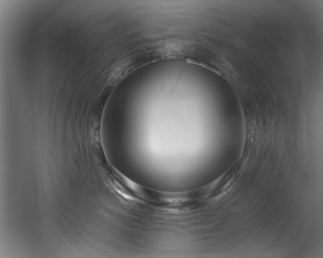 X0000052600766200507011156
