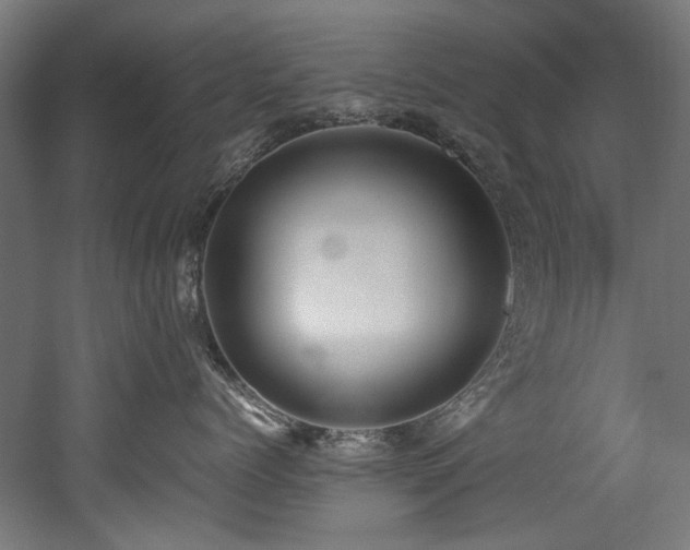 X0000052600768200507011156