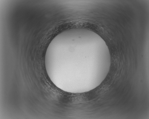 X0000052600769200507011156