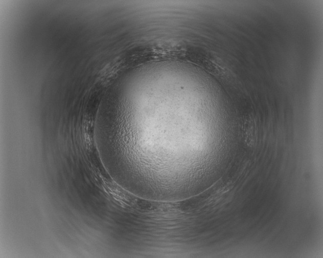 X0000052600770200507011156
