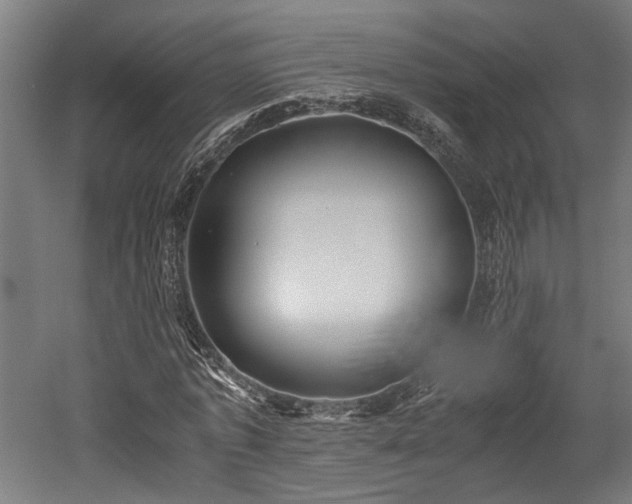 X0000052600773200507011155