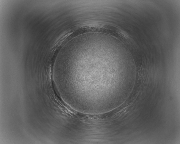 X0000052600774200507011155