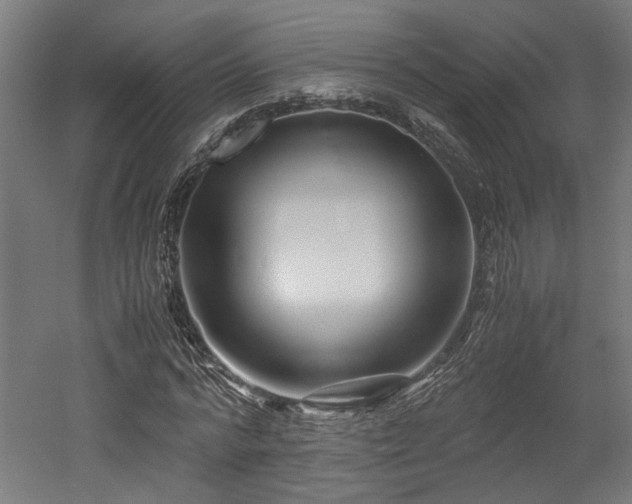 X0000052600776200507011155