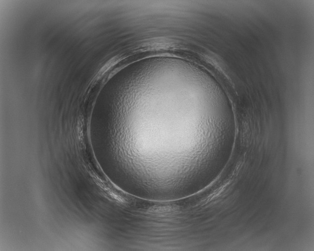 X0000052600778200507011155