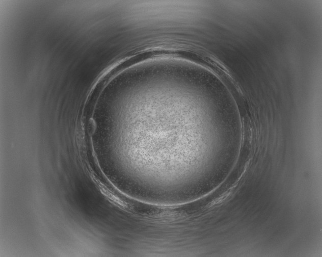 X0000052600779200507011155