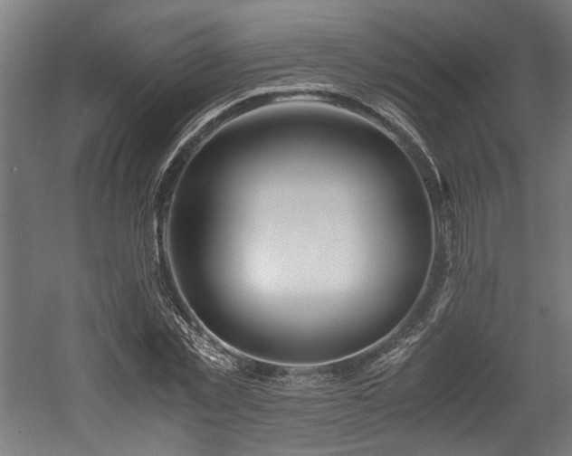 X0000052600781200507011155