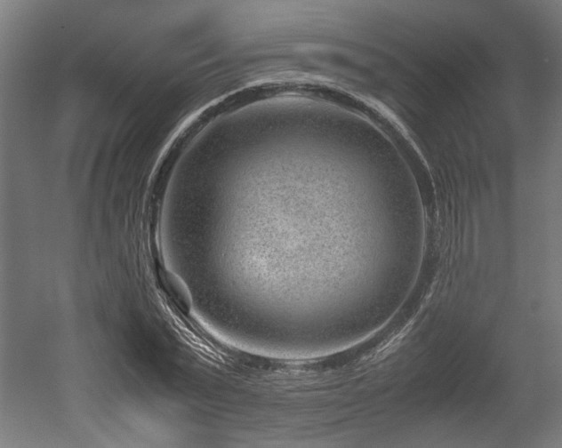 X0000052600783200507011155