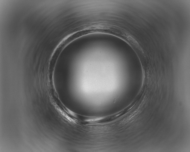 X0000052600784200507011155