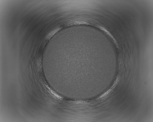 X0000052600785200507011155
