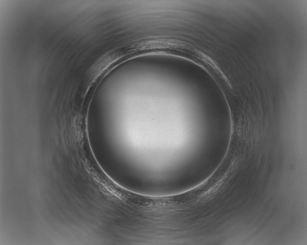 X0000052600786200507011155