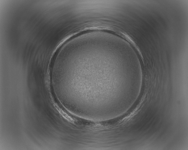 X0000052600787200507011155