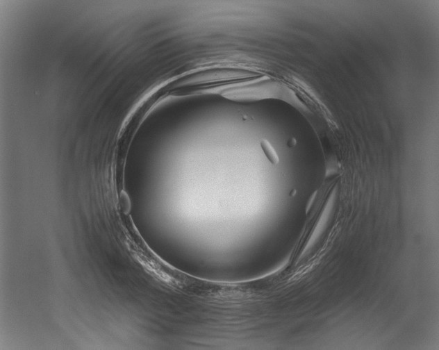 X0000052600788200507011155