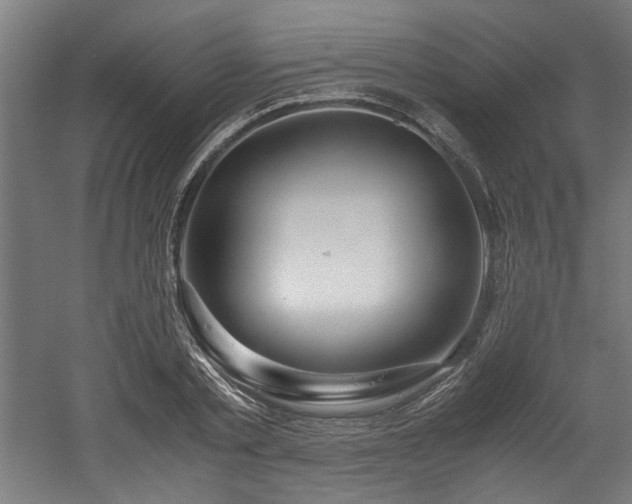 X0000052600789200507011155