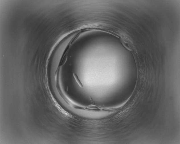 X0000052600792200507011155