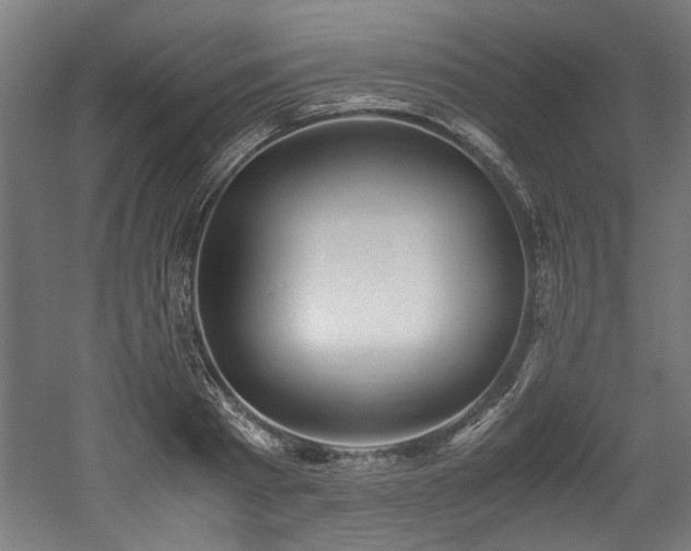 X0000052600793200507011155