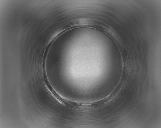 X0000052600794200507011155