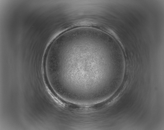 X0000052600795200507011155