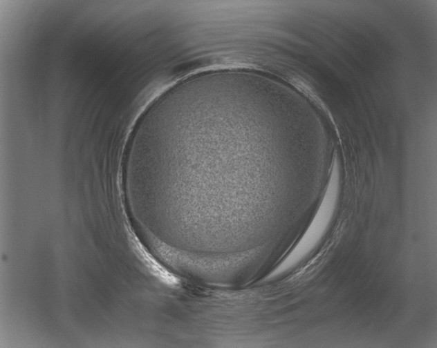 X0000052600797200507011155