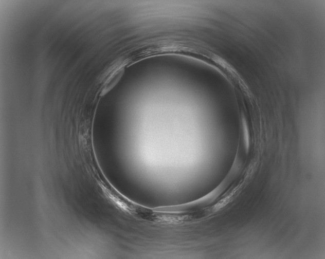 X0000052600801200507011155