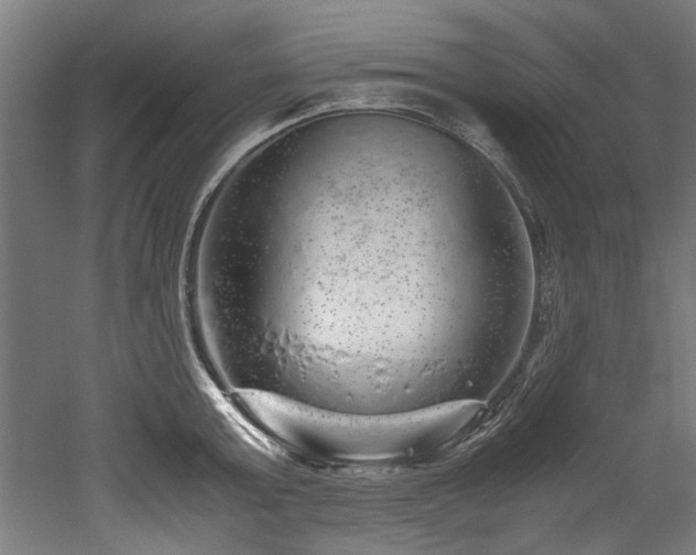 X0000052600803200507011155