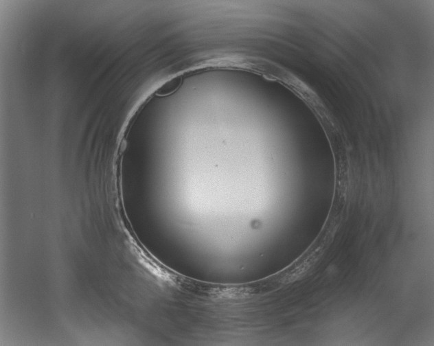 X0000052600808200507011155