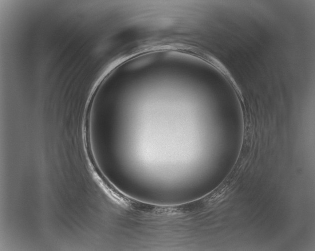 X0000052600811200507011155