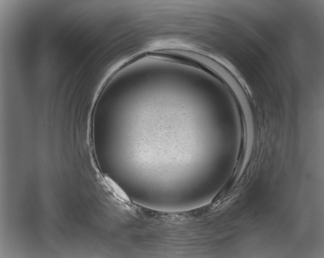 X0000052600815200507011155