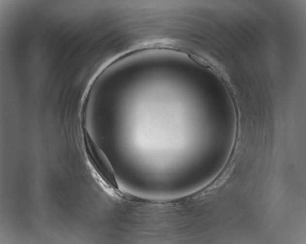 X0000052600816200507011155