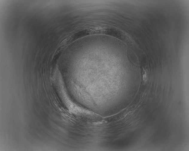 X0000052600819200507011154