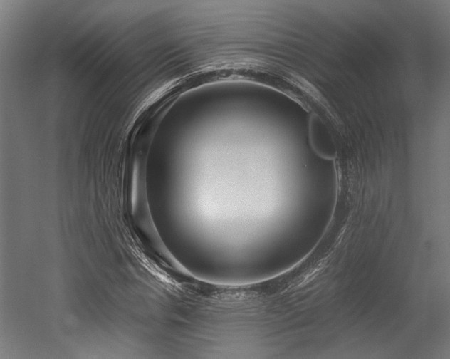 X0000052600826200507011154