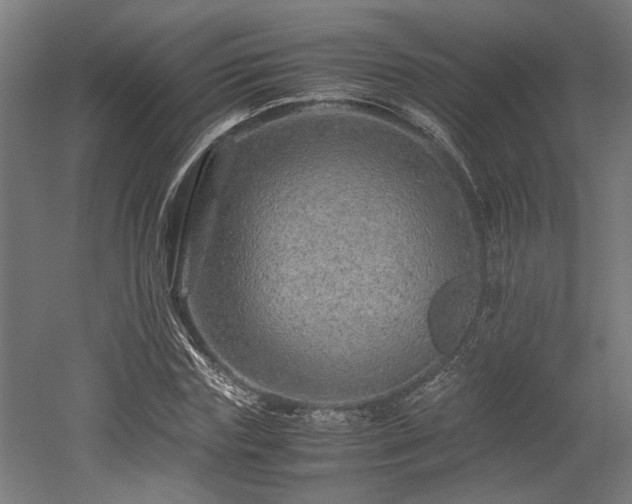 X0000052600827200507011154