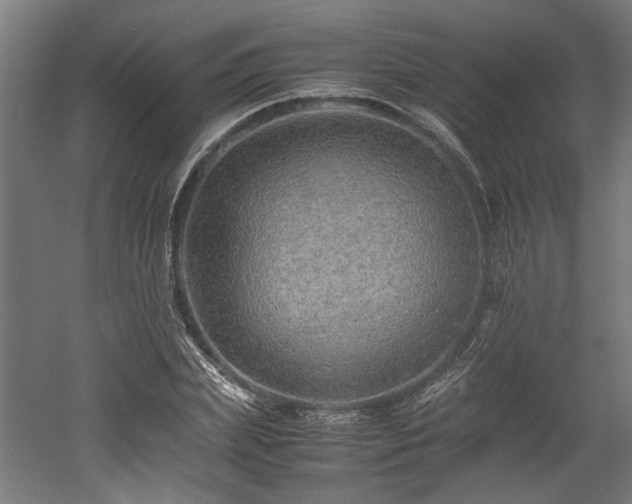 X0000052600831200507011154