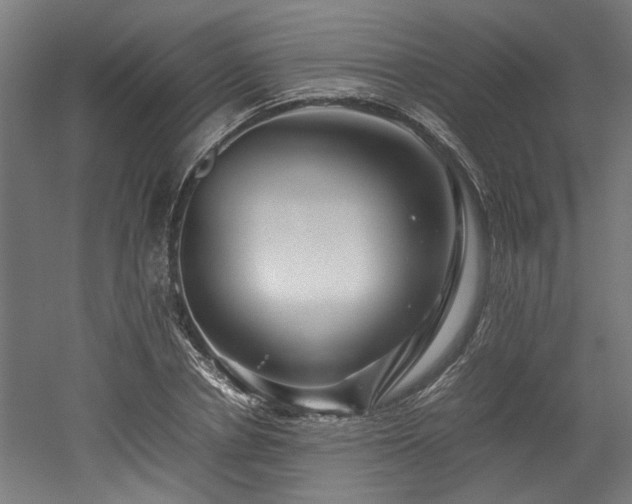 X0000052600834200507011154