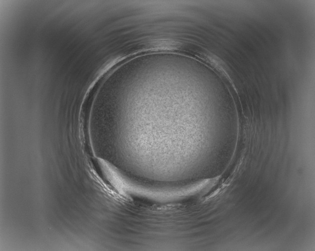 X0000052600835200507011154
