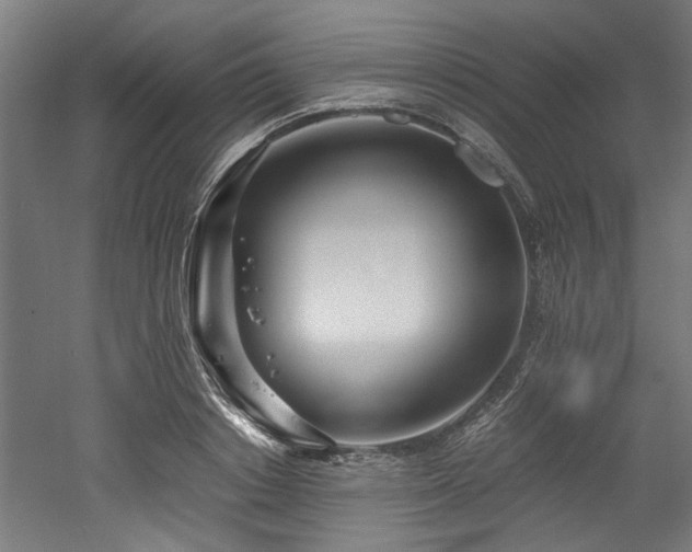 X0000052600842200507011154