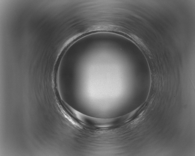 X0000052600846200507011154